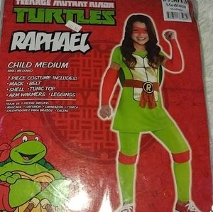 Raphael costume